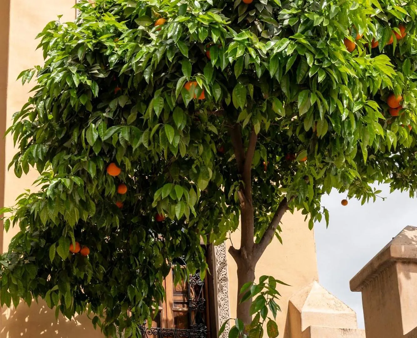 Riad Layalina Fez